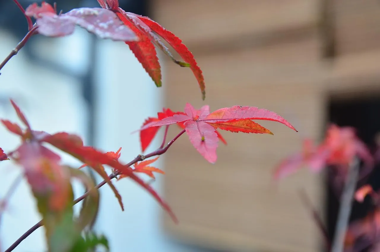 ** Guest house Miyabi Cosy House Hotel Kyoto Japan