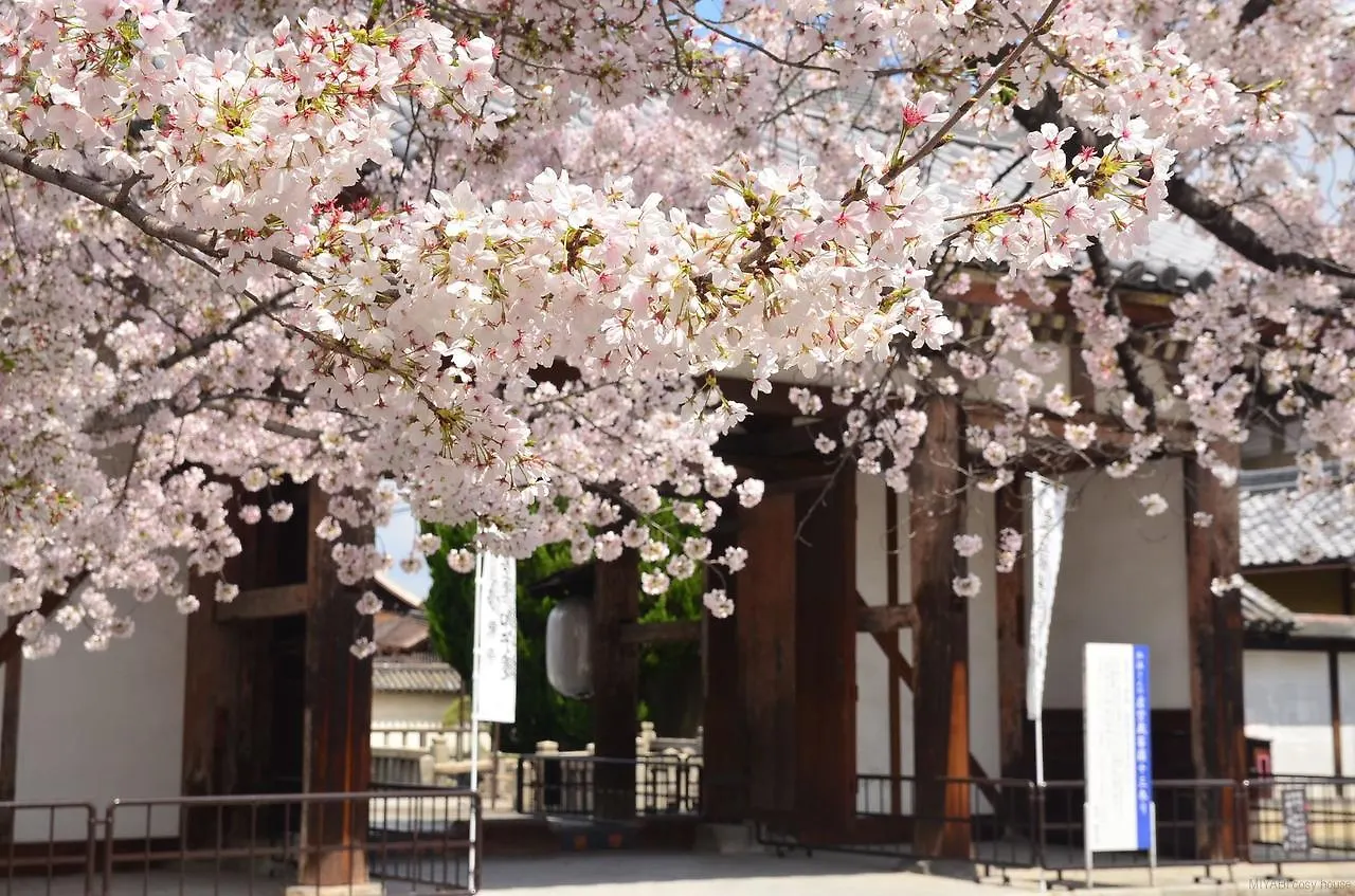Miyabi Cosy House Hotel Kyoto